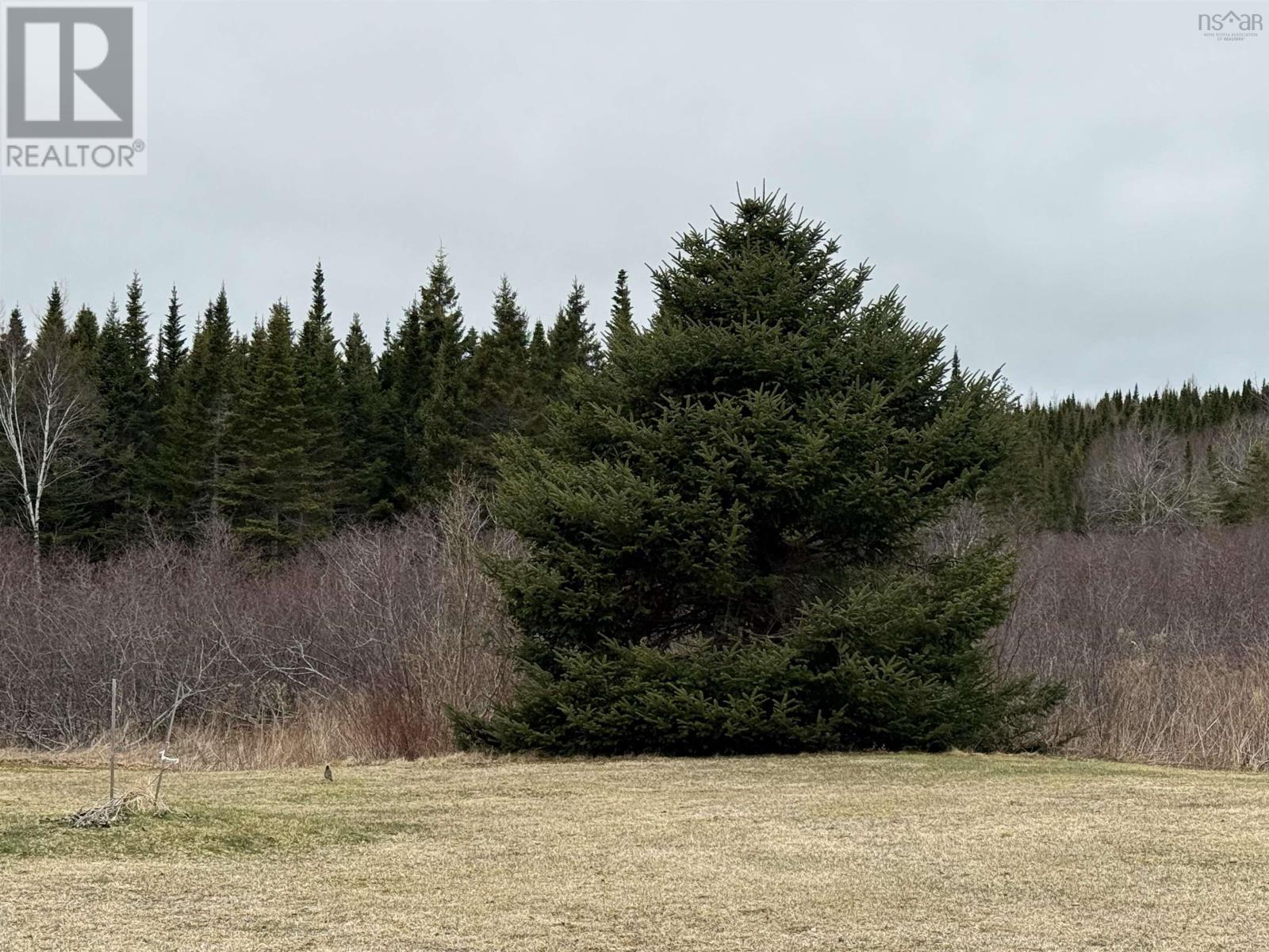 21067 316 Highway, Goshen, Nova Scotia  B0H 1M0 - Photo 35 - 202508066