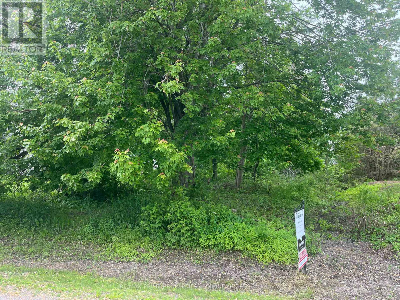 204 Bayshore Drive, Ramara, Ontario  L0K 1B0 - Photo 3 - S12206090