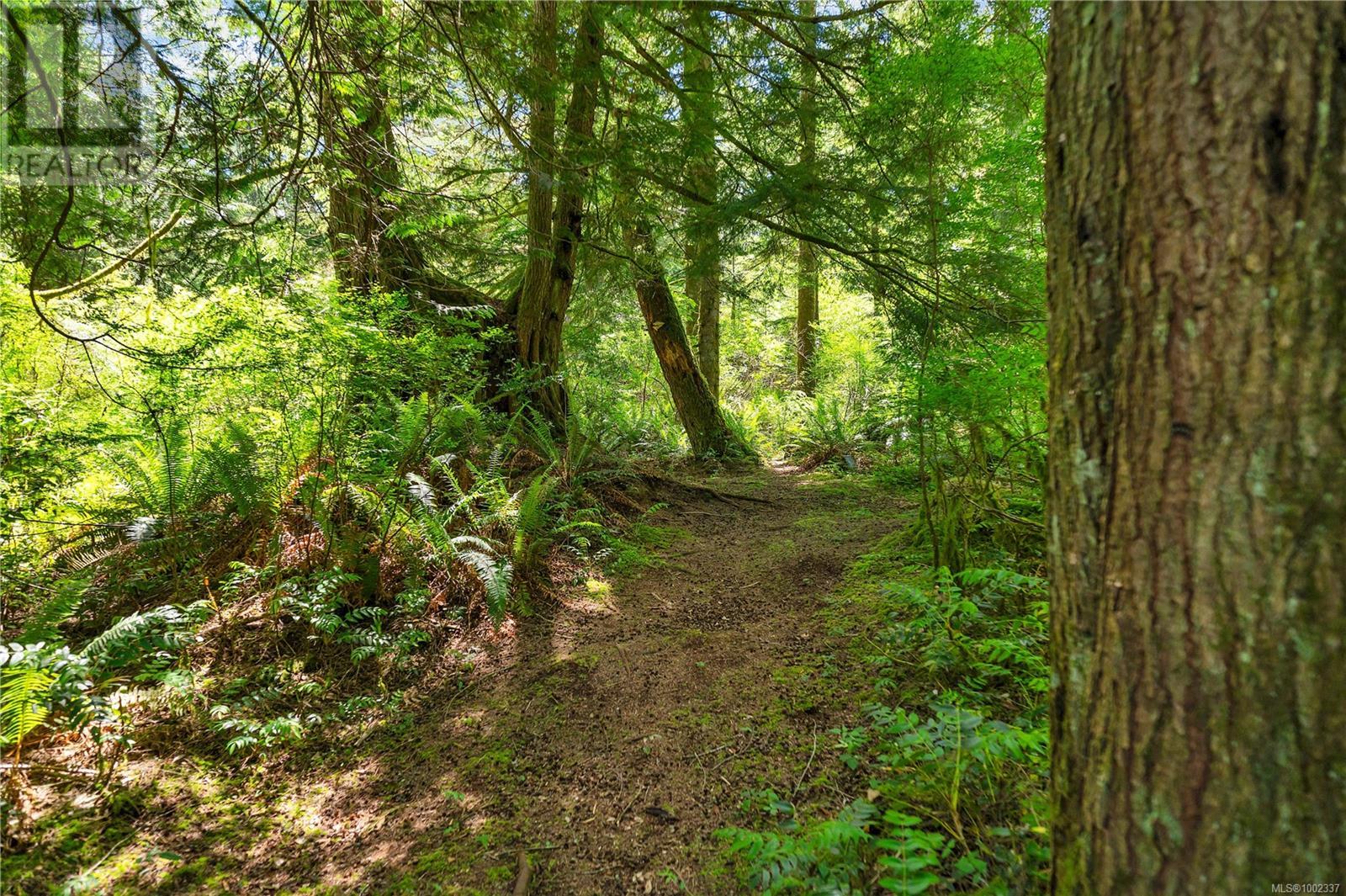 620 Valpy Rd, Quadra Island, British Columbia  V0P 1H0 - Photo 67 - 1002337