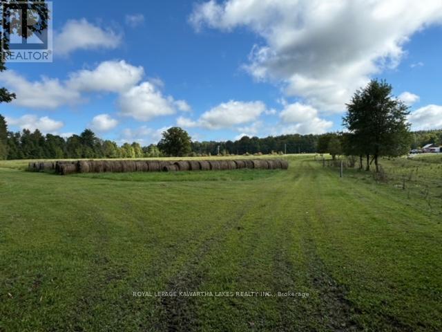 2433 County Road 121 Road, Kawartha Lakes, Ontario  K0M 1C0 - Photo 32 - X12194367