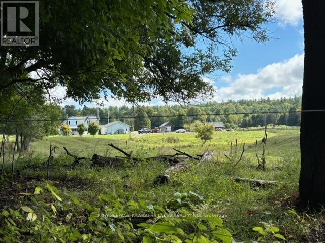 2433 County Road 121 Road, Kawartha Lakes, Ontario  K0M 1C0 - Photo 31 - X12194367