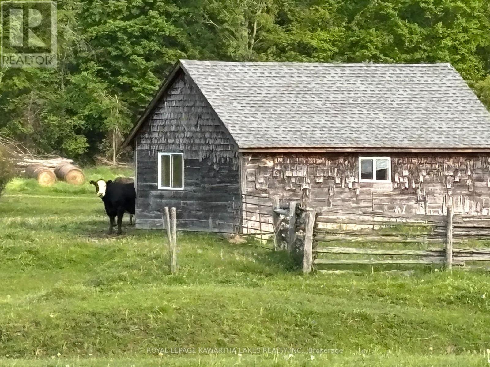 2433 County Road 121 Road, Kawartha Lakes, Ontario  K0M 1C0 - Photo 7 - X12194367
