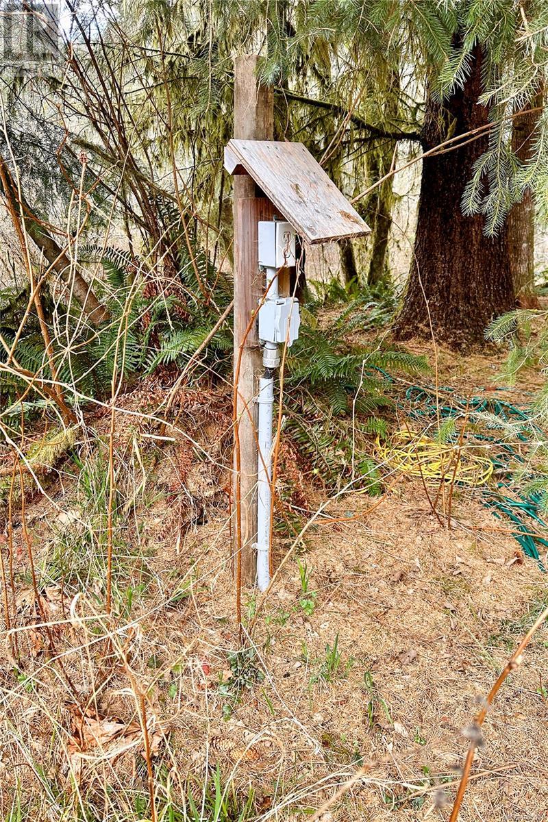 1165 Salmon River Main Line, Sayward, British Columbia  V0P 1R0 - Photo 80 - 1000061