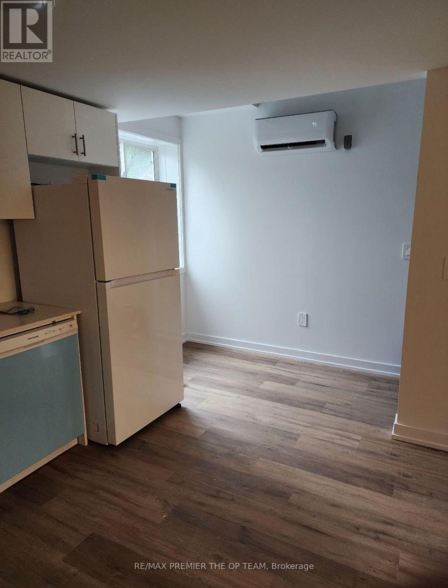 Basement - 249 Dain Avenue, Welland, Ontario  L3B 3E7 - Photo 2 - X12208358