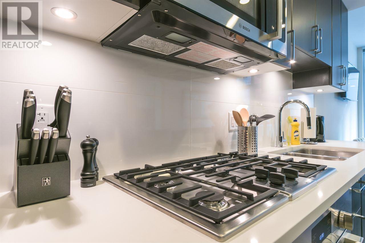 509 88 W 1st Avenue, Vancouver, British Columbia  V5Y 0K2 - Photo 5 - R3013414