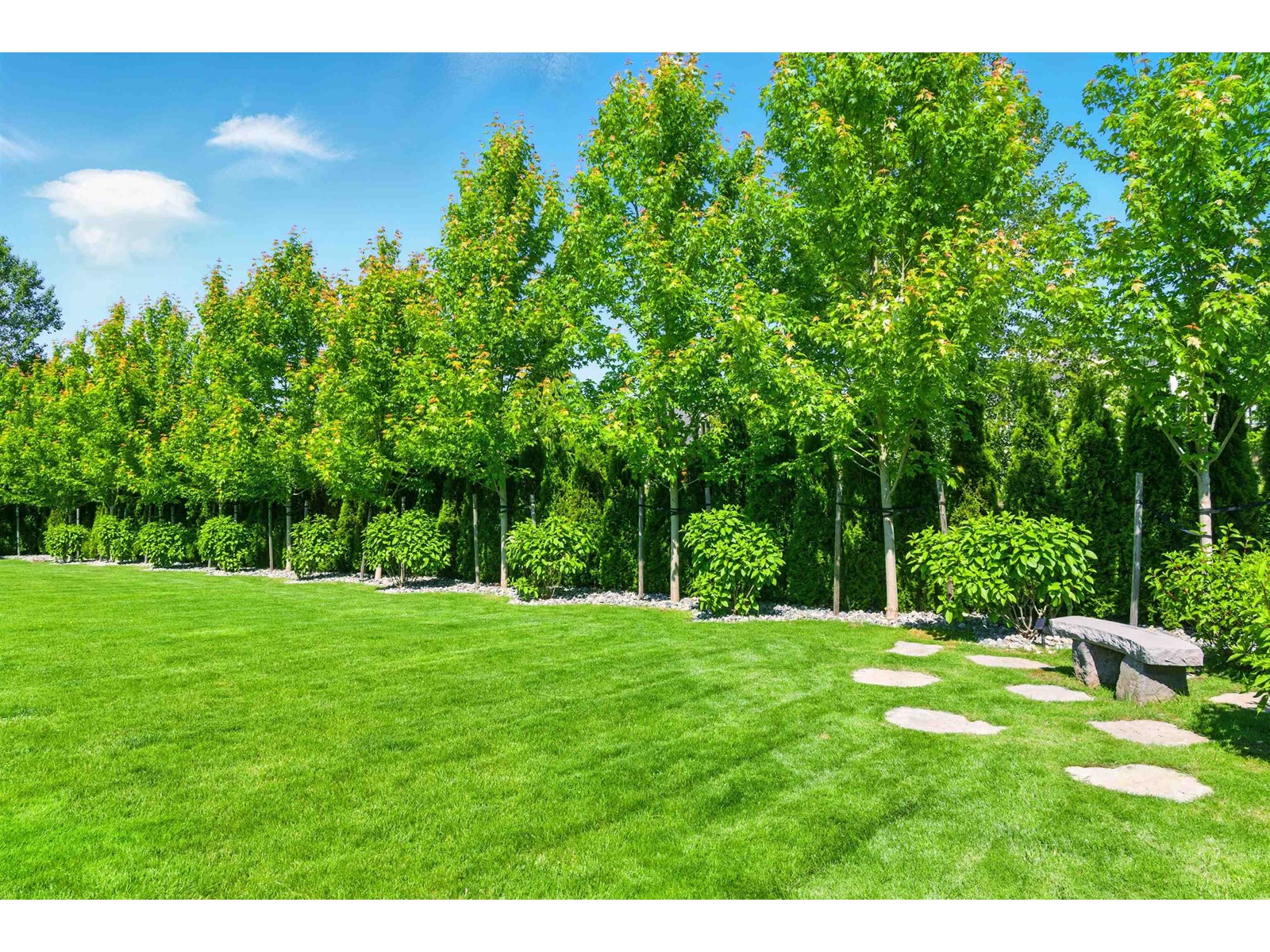 350 198 Street, Langley, British Columbia  V2Z 0A6 - Photo 34 - R3013372