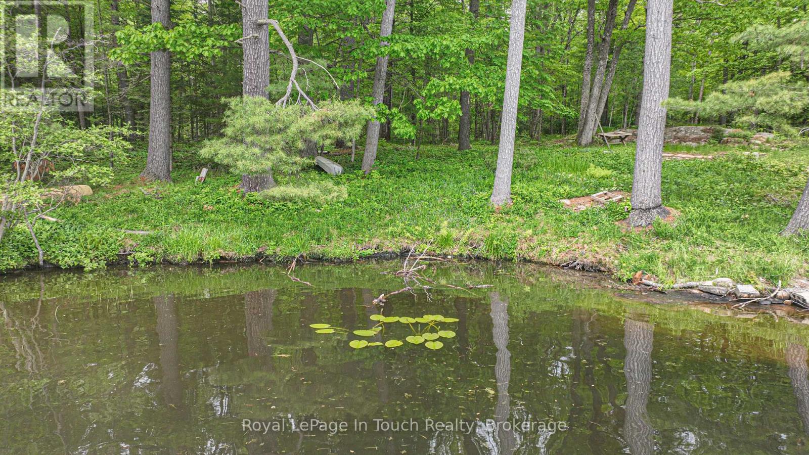 19 Sr404 Severn River Shore, Muskoka Lakes, Ontario  L0K 1E0 - Photo 7 - X12205913