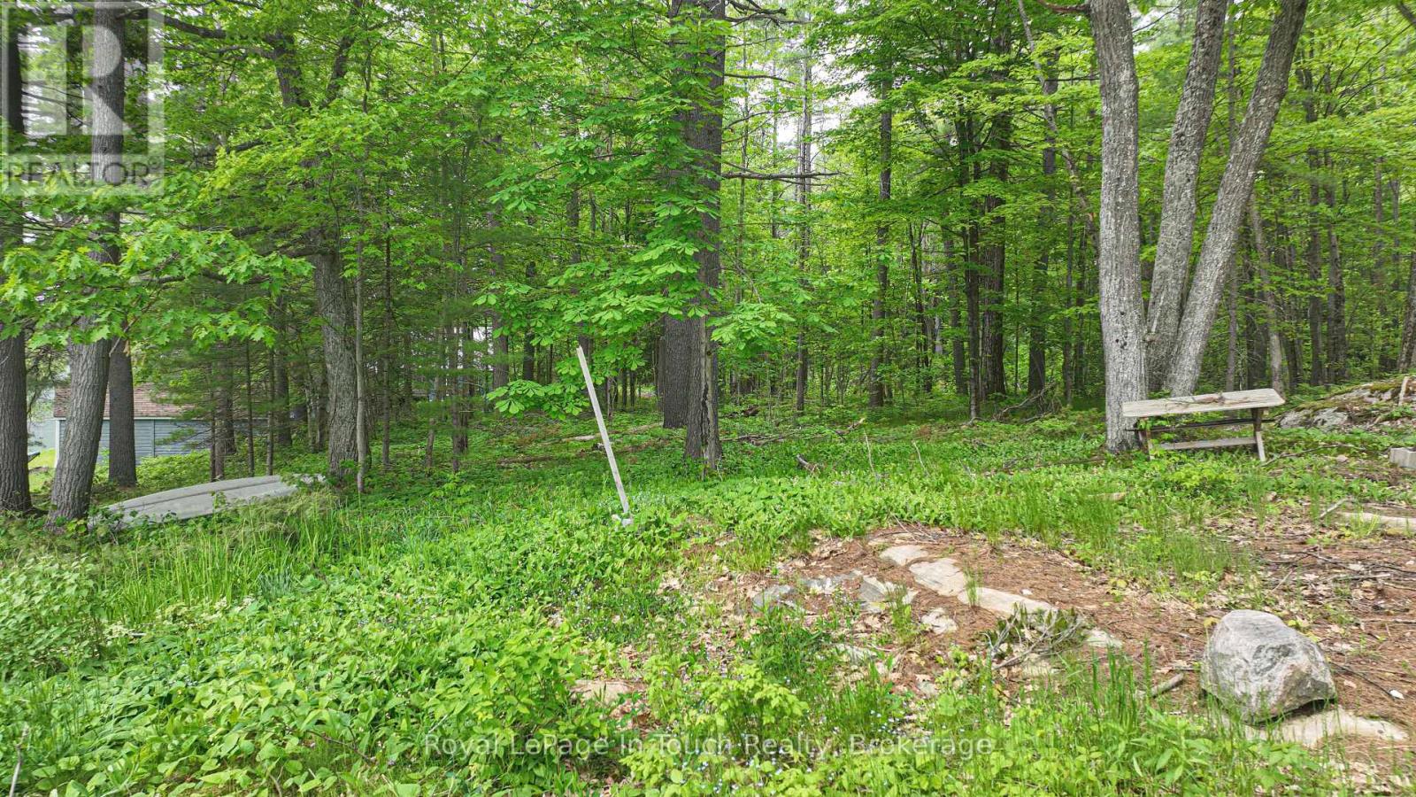 19 Sr404 Severn River Shore, Muskoka Lakes, Ontario  L0K 1E0 - Photo 11 - X12205913