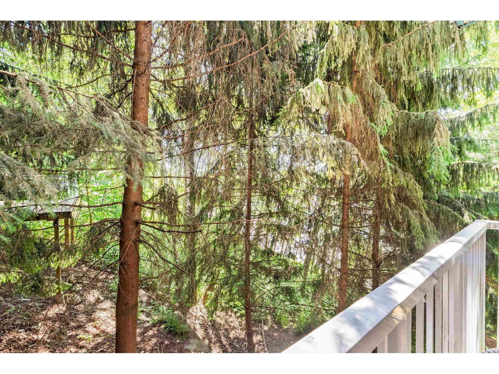 101 33960 Old Yale Road, Abbotsford, British Columbia  V2S 2J9 - Photo 25 - R3011129