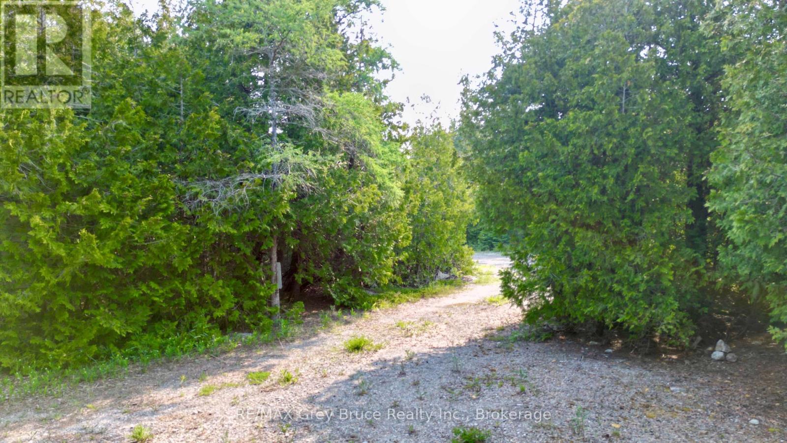 94 Pedwell Pt. Drive, Northern Bruce Peninsula, Ontario  N0H 2R0 - Photo 3 - X12058098