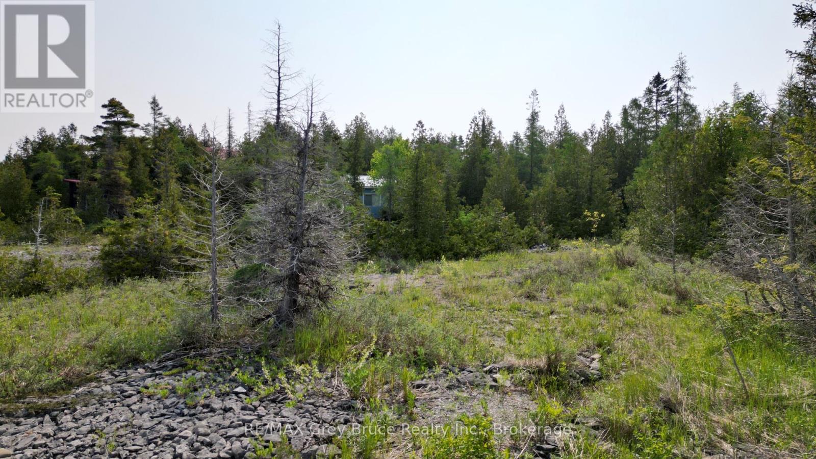 94 Pedwell Pt. Drive, Northern Bruce Peninsula, Ontario  N0H 2R0 - Photo 19 - X12058098