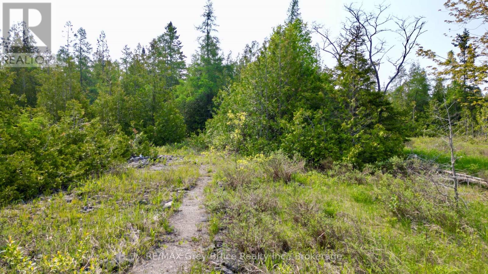 94 Pedwell Pt. Drive, Northern Bruce Peninsula, Ontario  N0H 2R0 - Photo 20 - X12058098