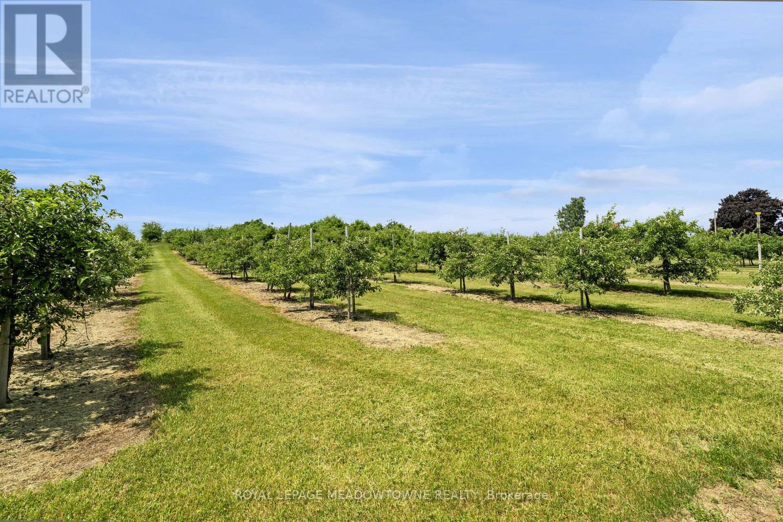 1453 Milburough Line, Hamilton, Ontario  L0R 1H0 - Photo 37 - X12208311