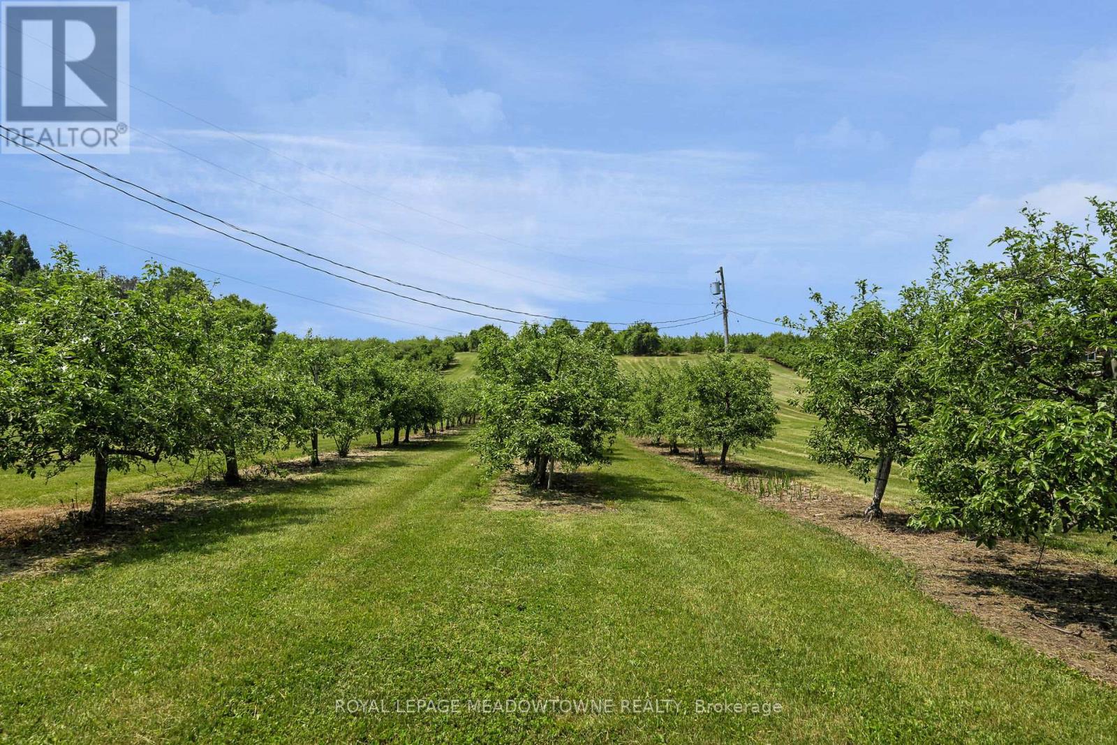 1453 Milburough Line, Hamilton, Ontario  L0R 1H0 - Photo 25 - X12208341