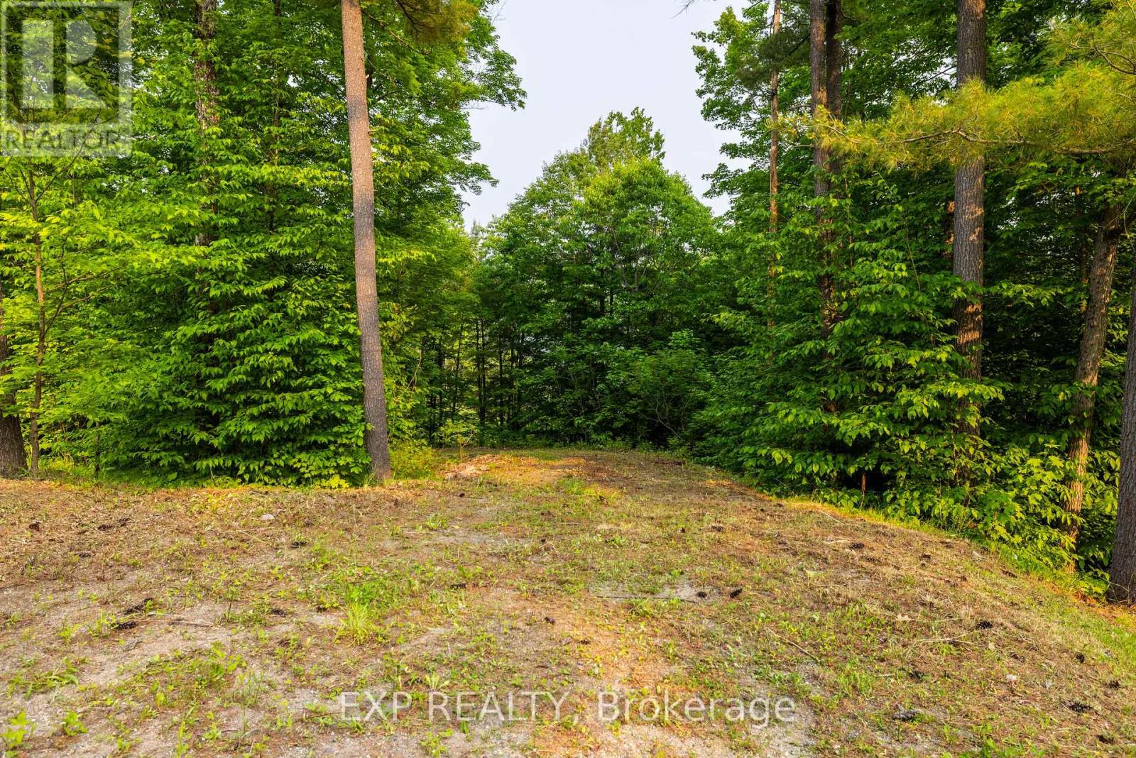 1225 Barrett Chute Road, Greater Madawaska, Ontario  K0J 1H0 - Photo 6 - X12208533