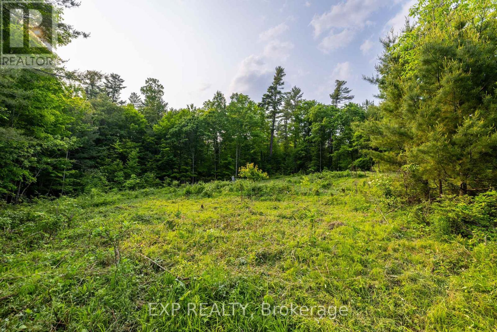 1225 Barrett Chute Road, Greater Madawaska, Ontario  K0J 1H0 - Photo 9 - X12208533