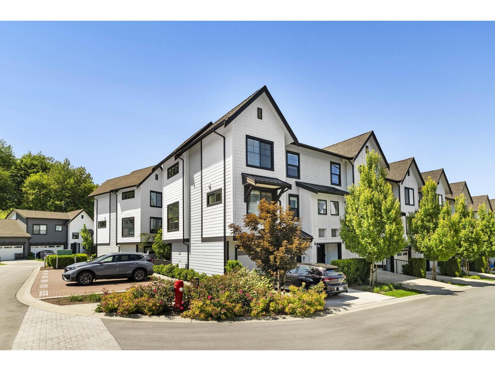 82 7967 197 Street, Langley, British Columbia  V2Y 3P1 - Photo 3 - R3012821
