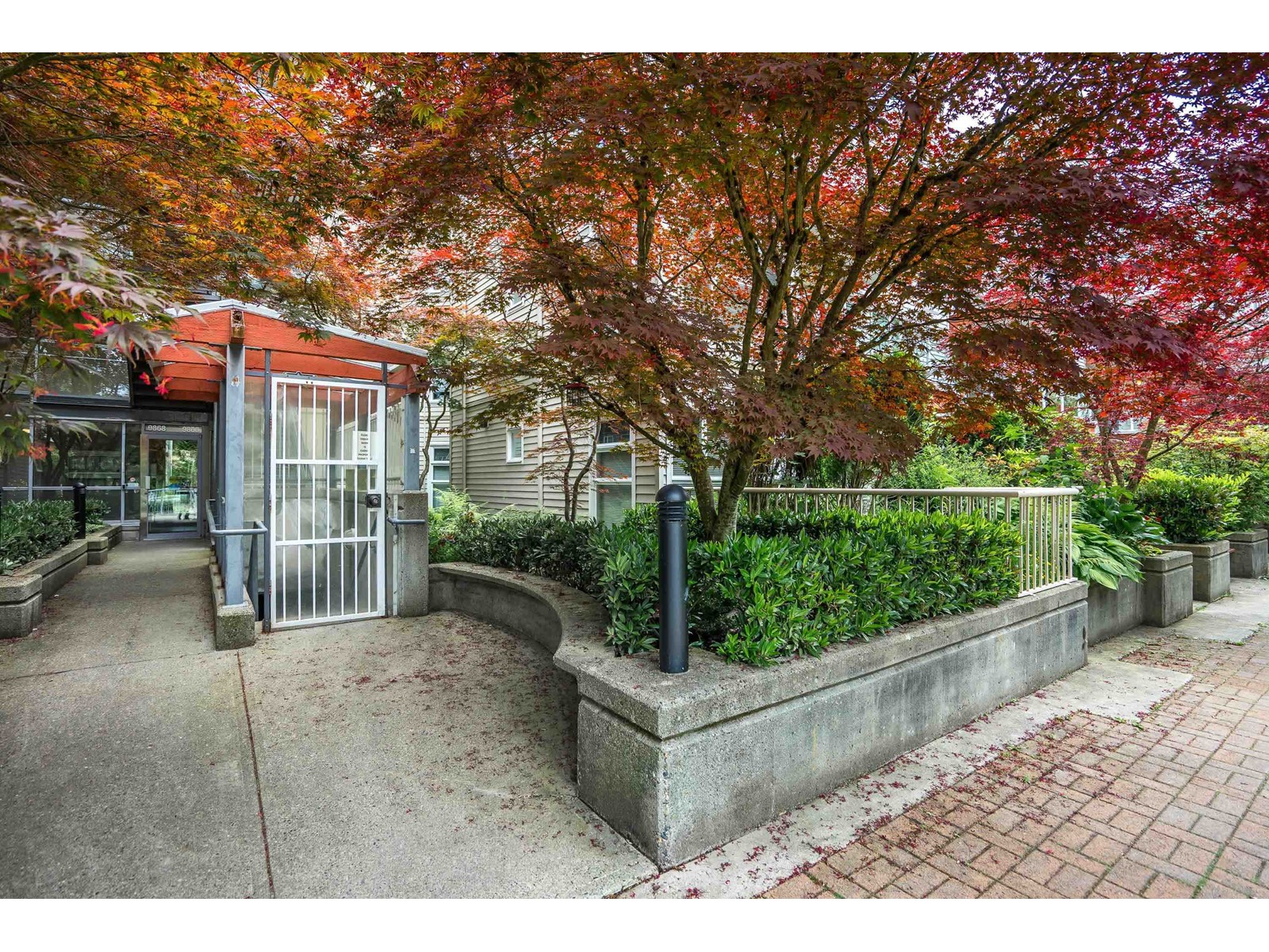 B204 9866 Whalley Boulevard, Surrey, British Columbia  V3T 5S8 - Photo 4 - R3013170