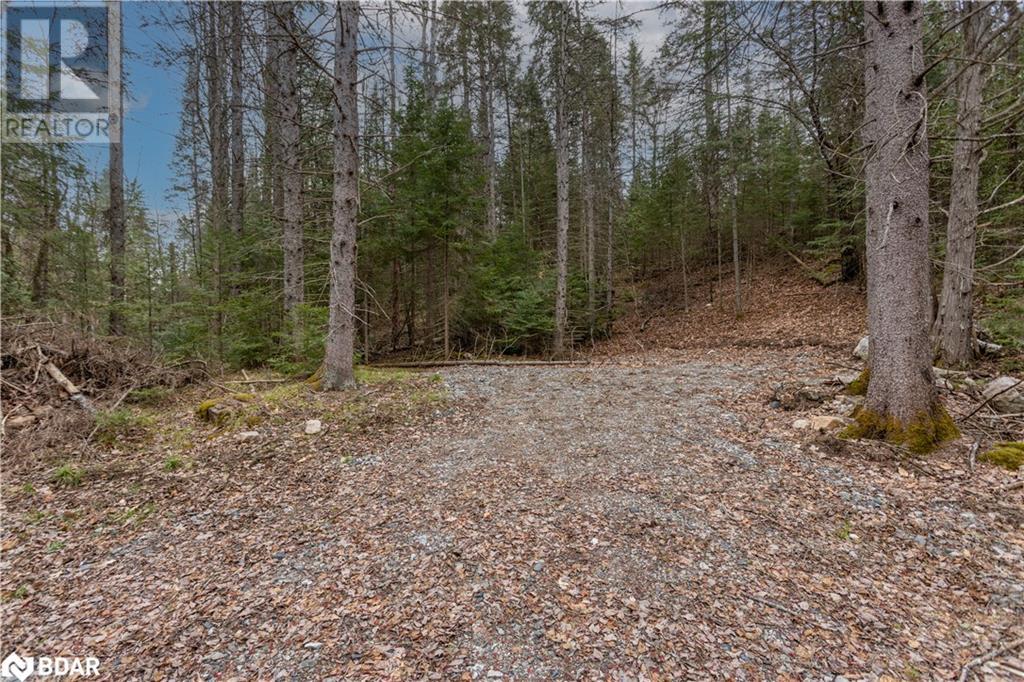 1272 Ursa Road, Haliburton, Ontario  K0M 1R0 - Photo 3 - 40726331