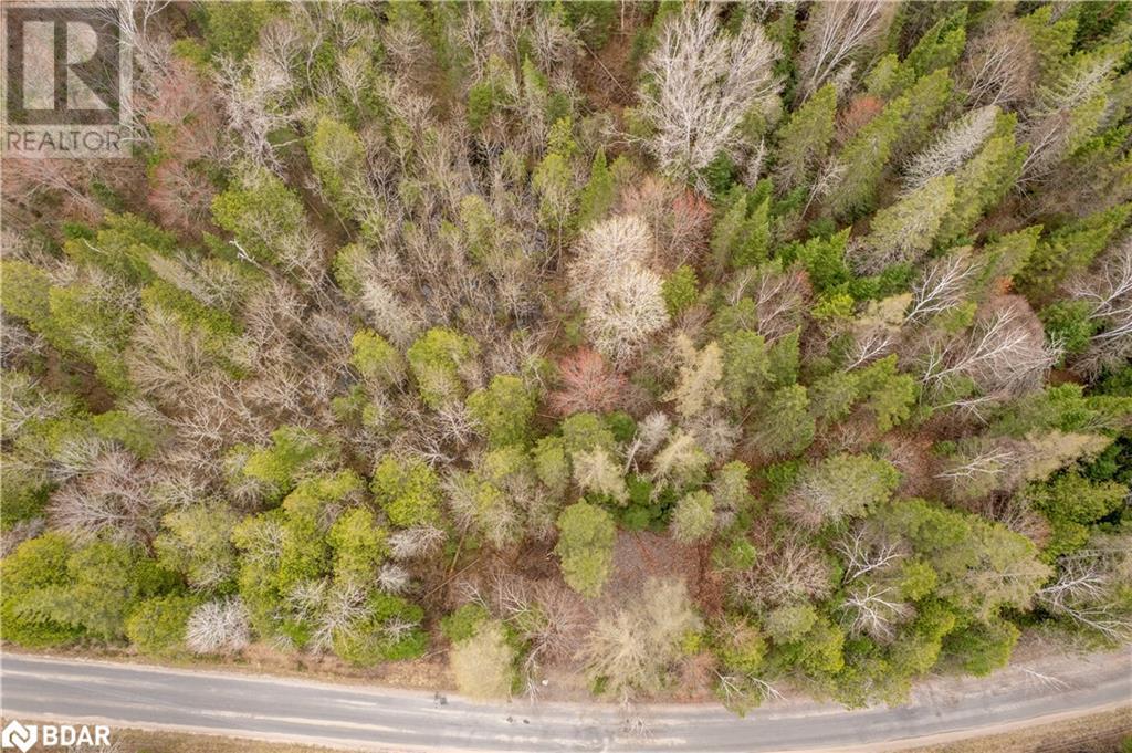 1272 Ursa Road, Haliburton, Ontario  K0M 1R0 - Photo 5 - 40726331