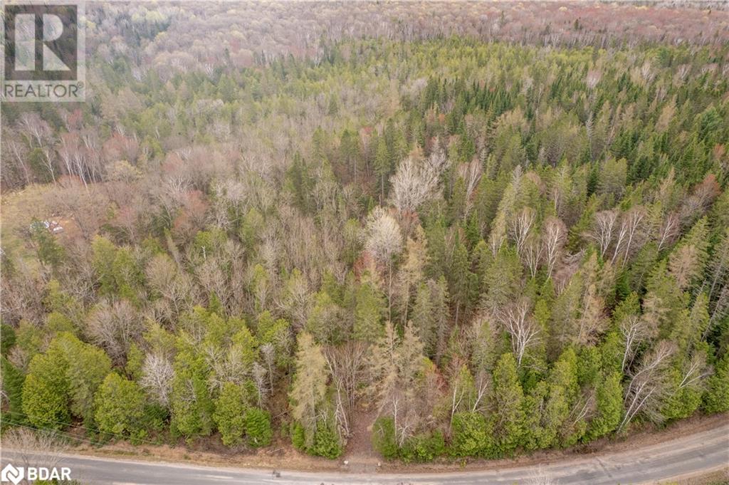 1272 Ursa Road, Haliburton, Ontario  K0M 1R0 - Photo 6 - 40726331