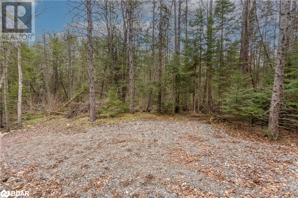 1272 Ursa Road, Haliburton, Ontario  K0M 1R0 - Photo 4 - 40726331