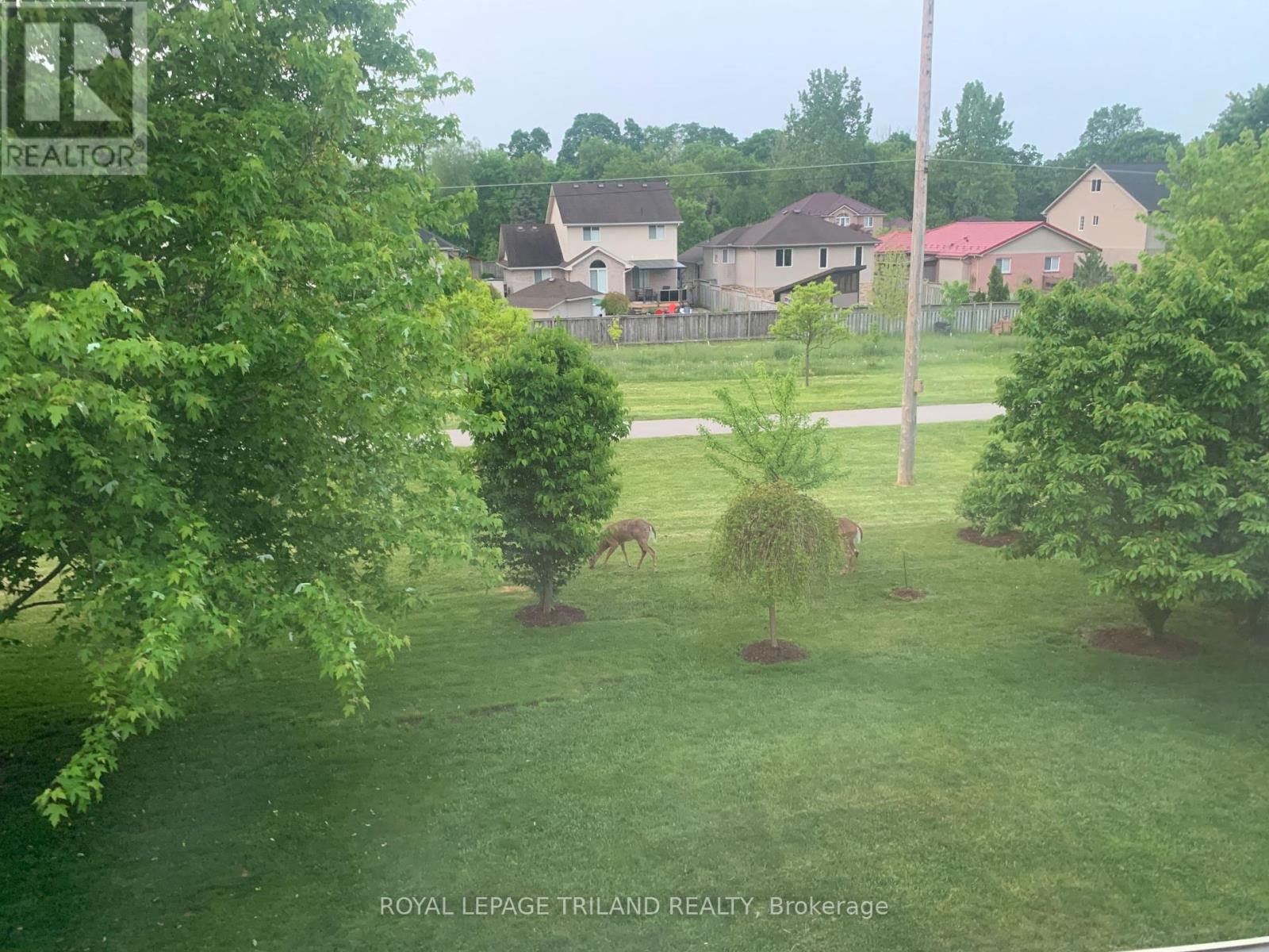 41 Greyrock Crescent, London East, Ontario  N5Y 6L4 - Photo 50 - X12208603
