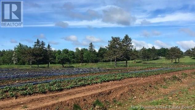 5925 Route 10, Hardwood Ridge, New Brunswick  E4A 1B4 - Photo 34 - NB111338