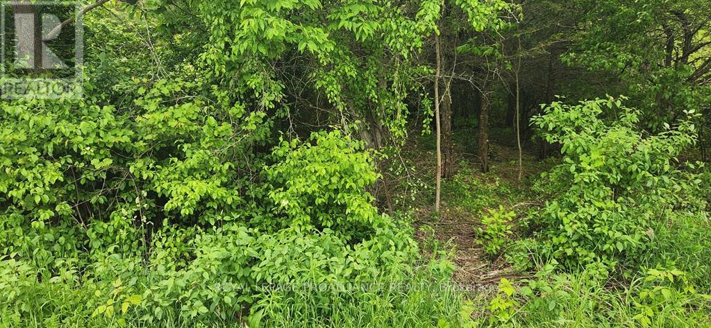 0 Scriver Road, Brighton, Ontario  K0K 1H0 - Photo 2 - X12208703