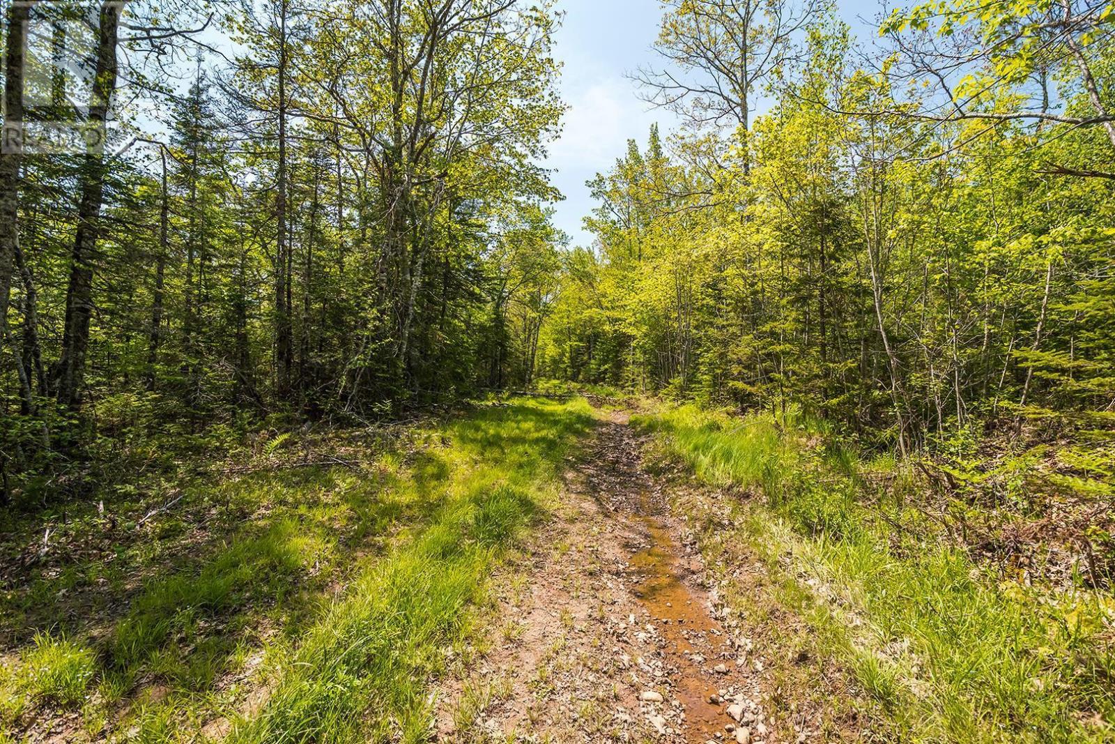 Lot 1 Old Post Road, Enfield, Nova Scotia  B2T 1E2 - Photo 41 - 202505347