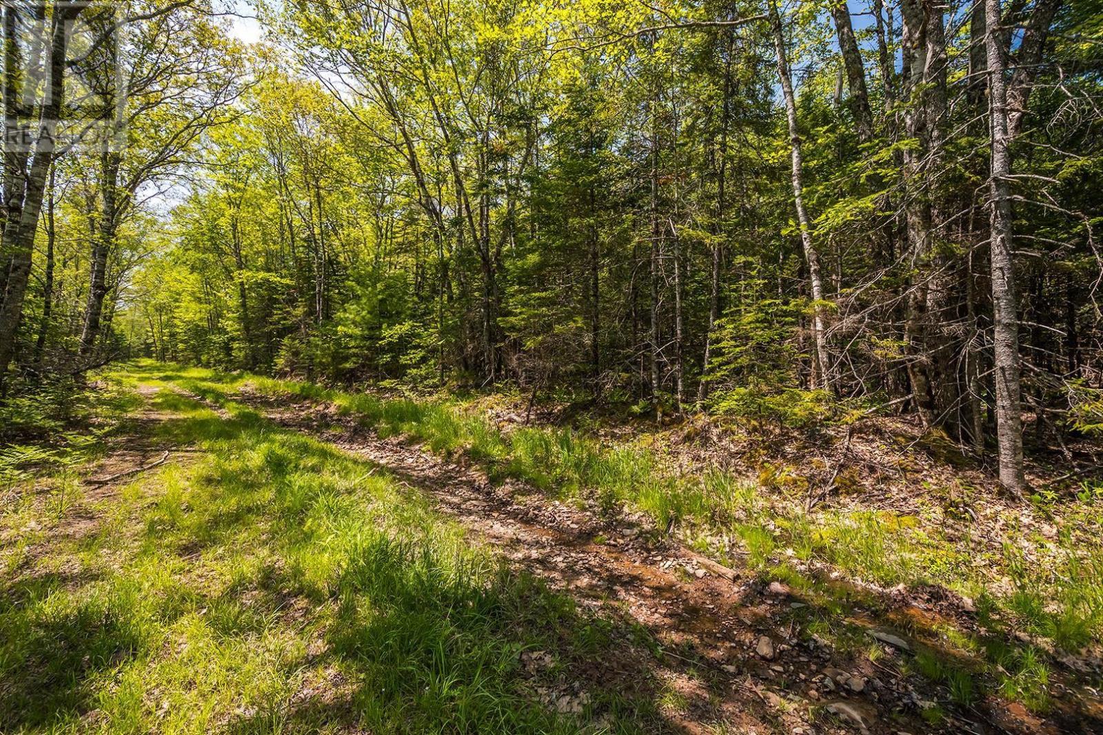 Lot 1 Old Post Road, Enfield, Nova Scotia  B2T 1E2 - Photo 43 - 202505347