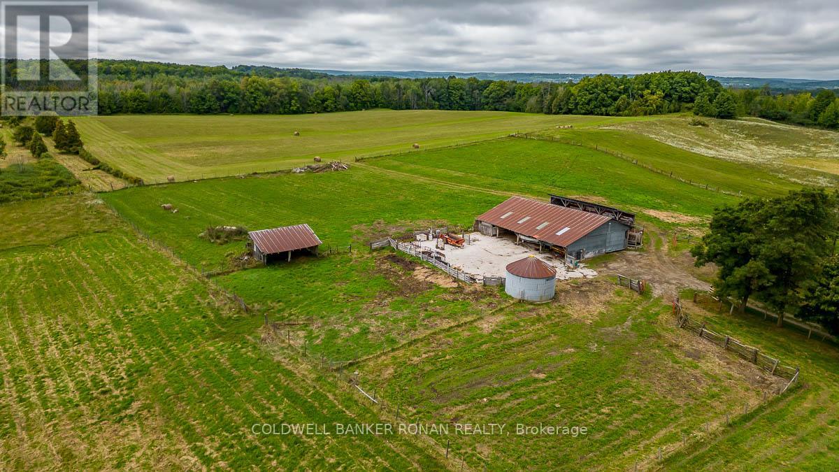 1918 Concession Rd 2, Adjala-Tosorontio, Ontario  L0N 1P0 - Photo 42 - N12010608