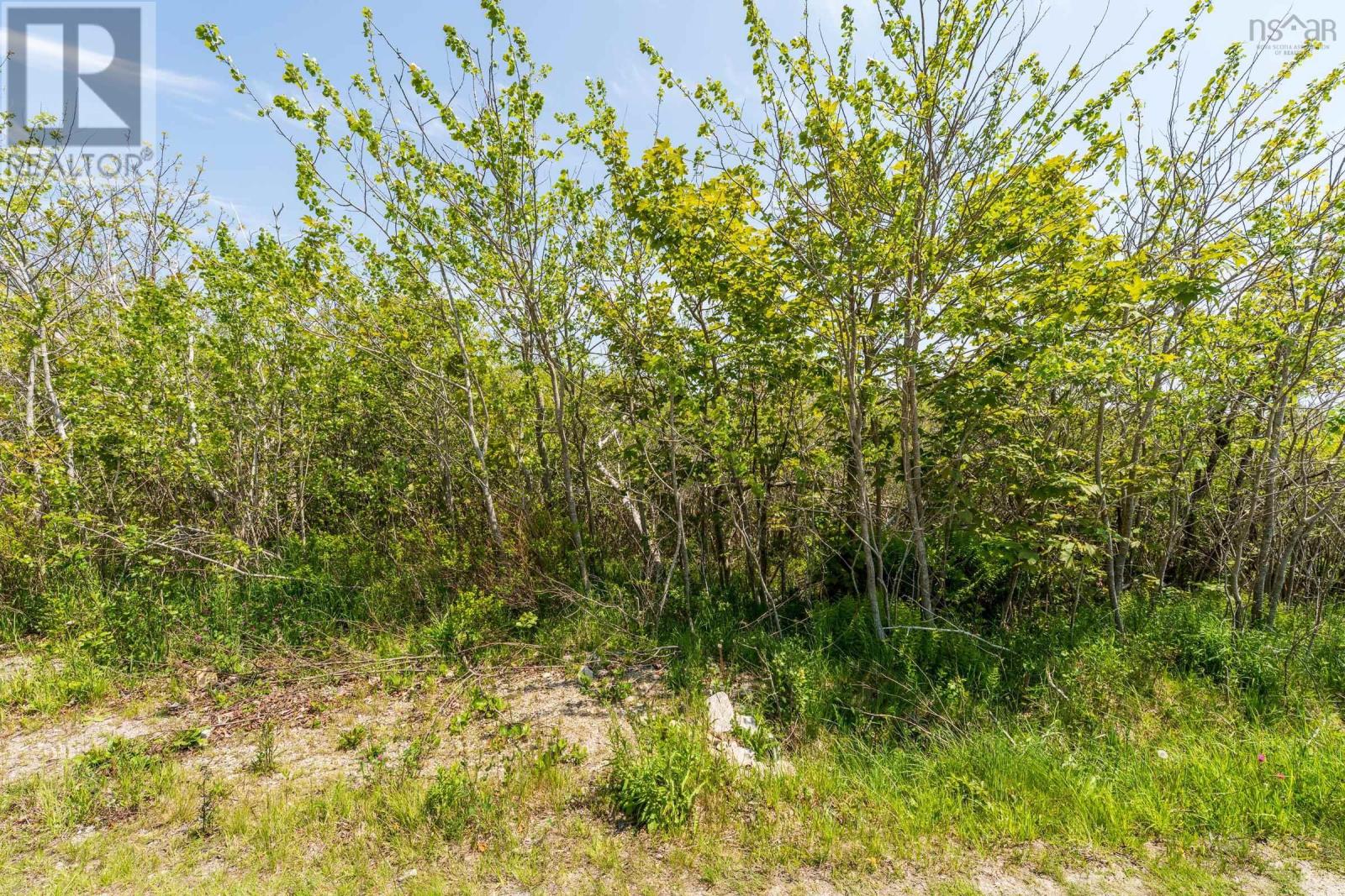 Lot 2 3 Highway, Lower Argyle, Nova Scotia  B0W 1W0 - Photo 5 - 202513785