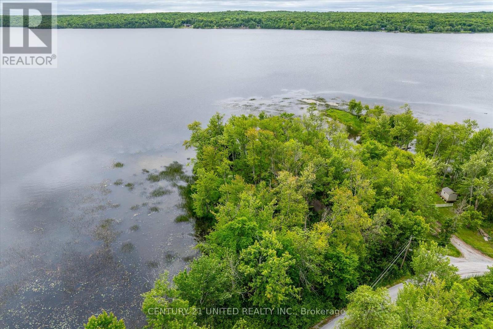 168 Christie Lane, Centre Hastings, Ontario  K0K 2K0 - Photo 5 - X12209007