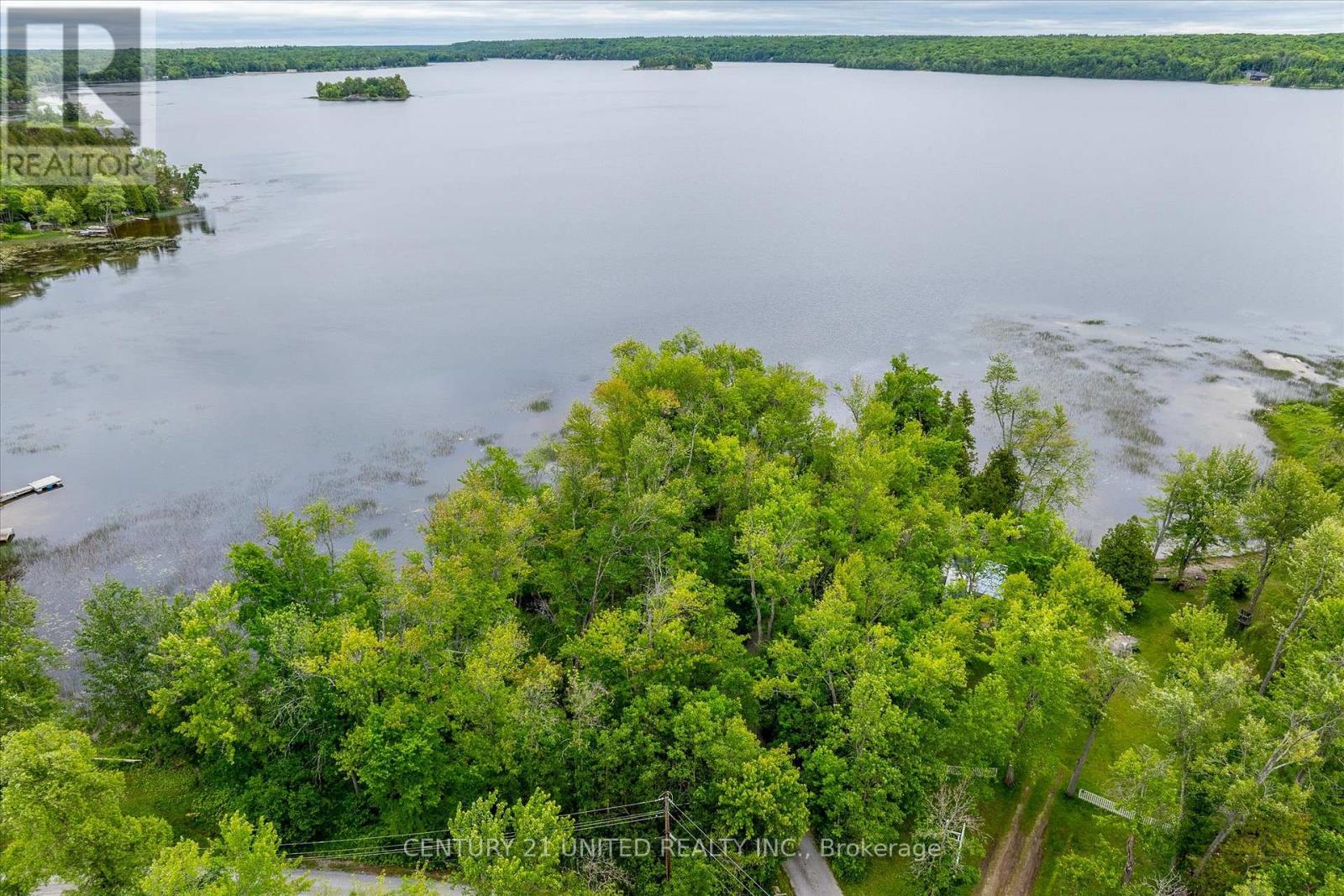 168 Christie Lane, Centre Hastings, Ontario  K0K 2K0 - Photo 6 - X12209007