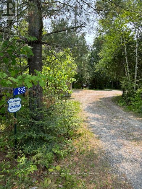 293 Marten Lake Road, Unorganized Townships (Marten River), Ontario  P0H 1T0 - Photo 4 - X12209162