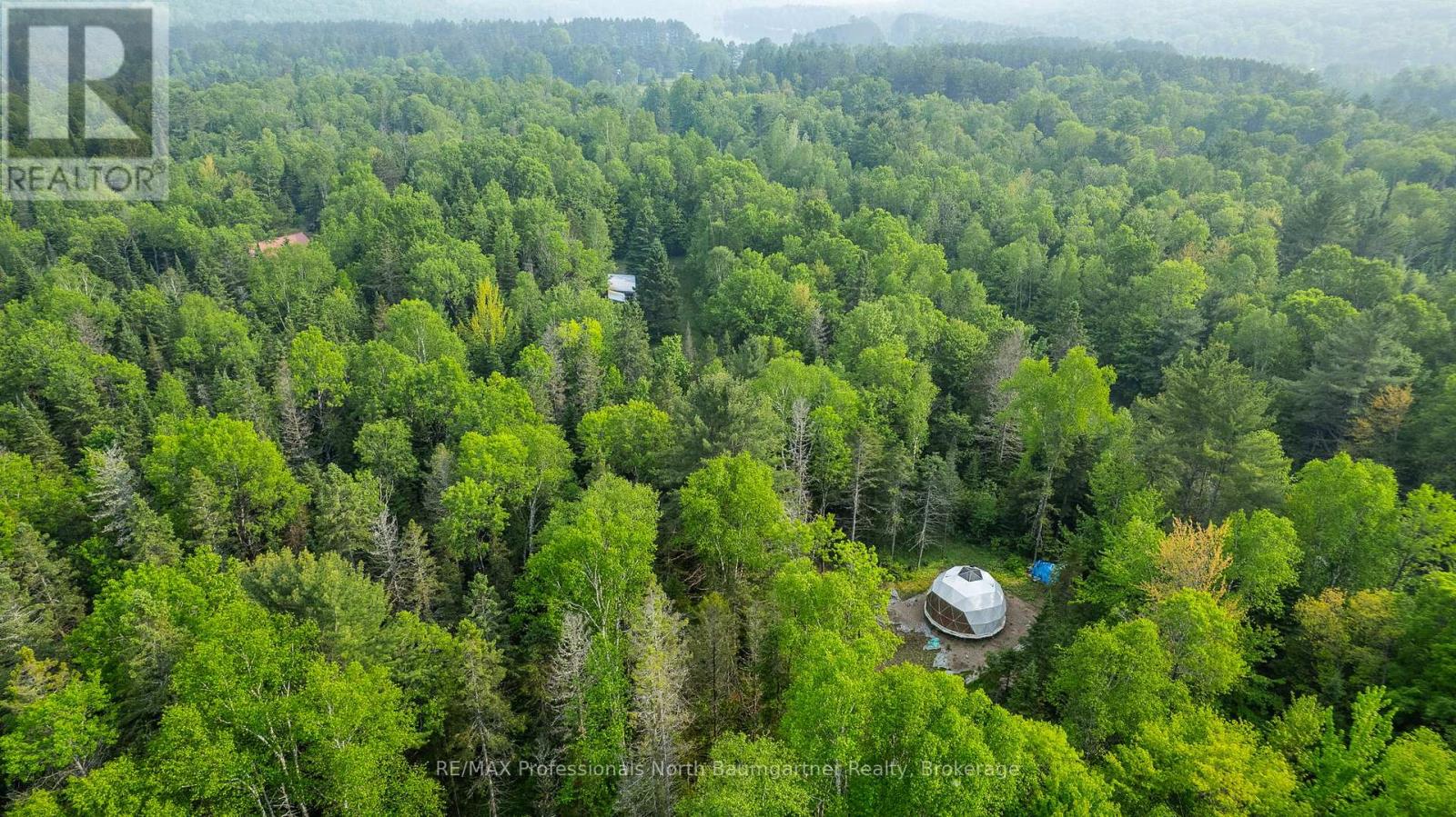 1056 Outram Road, Highlands East, Ontario  K0L 3C0 - Photo 11 - X12209117