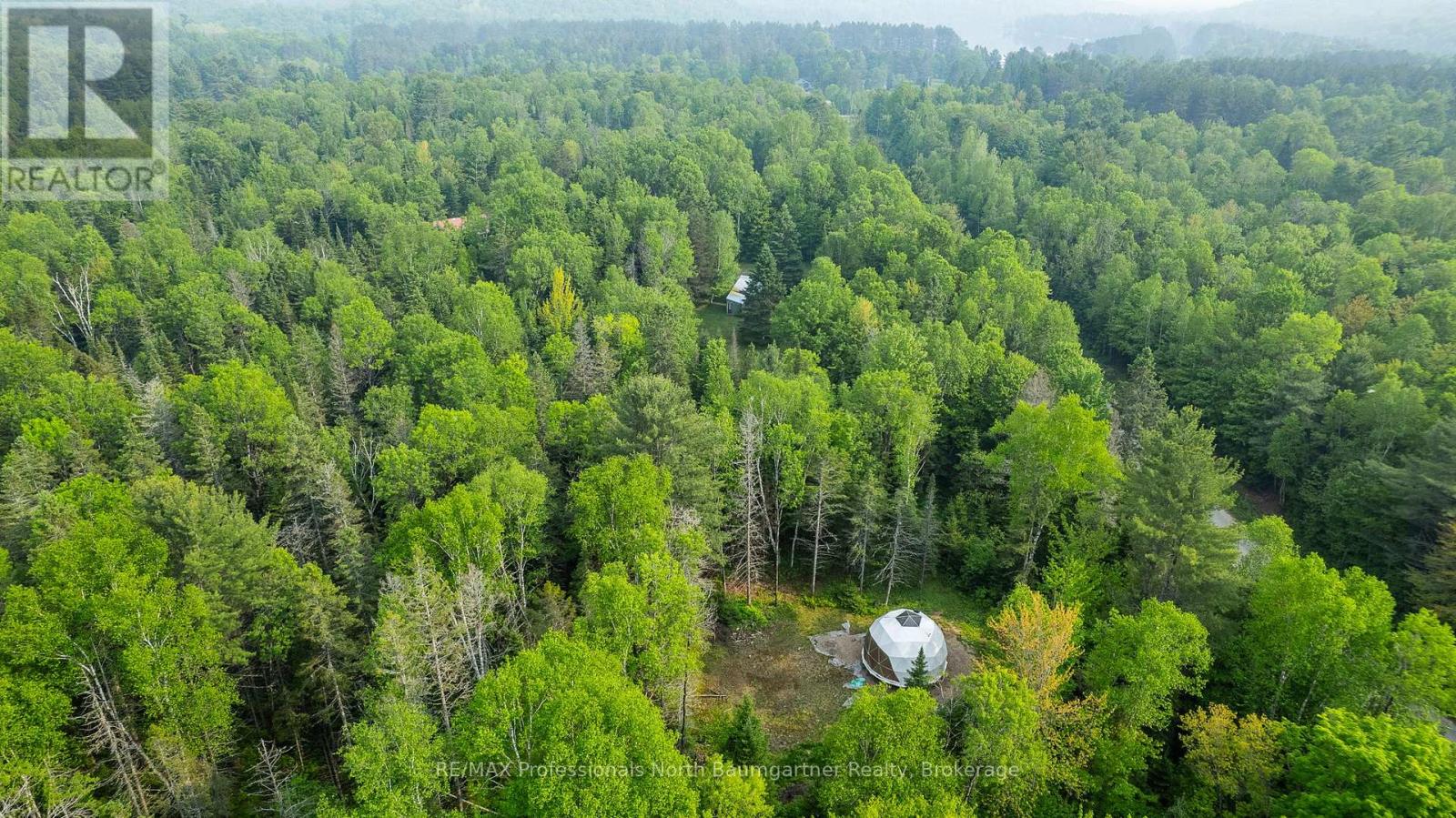 1056 Outram Road, Highlands East, Ontario  K0L 3C0 - Photo 12 - X12209117