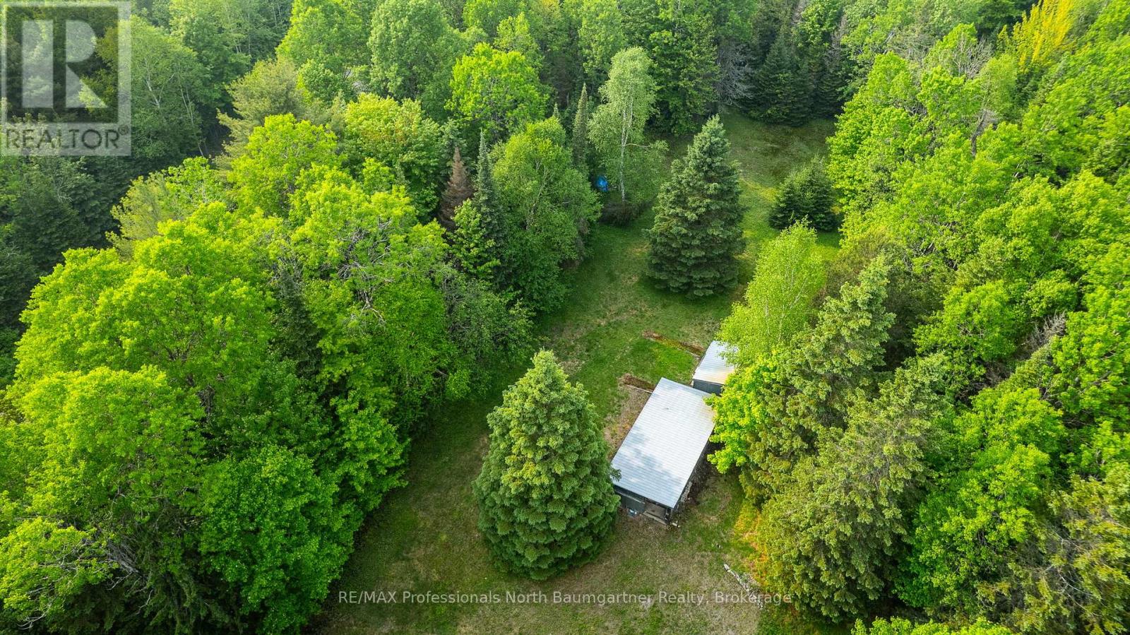 1056 Outram Road, Highlands East, Ontario  K0L 3C0 - Photo 14 - X12209117