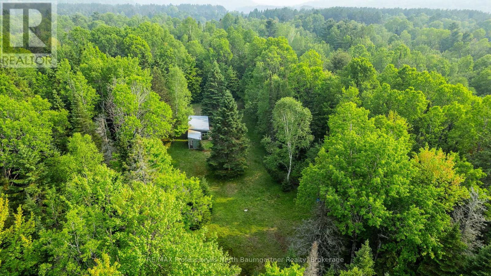 1056 Outram Road, Highlands East, Ontario  K0L 3C0 - Photo 15 - X12209117