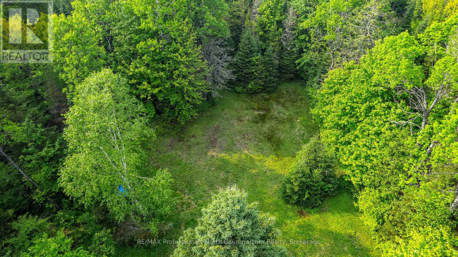 1056 Outram Road, Highlands East, Ontario  K0L 3C0 - Photo 16 - X12209117