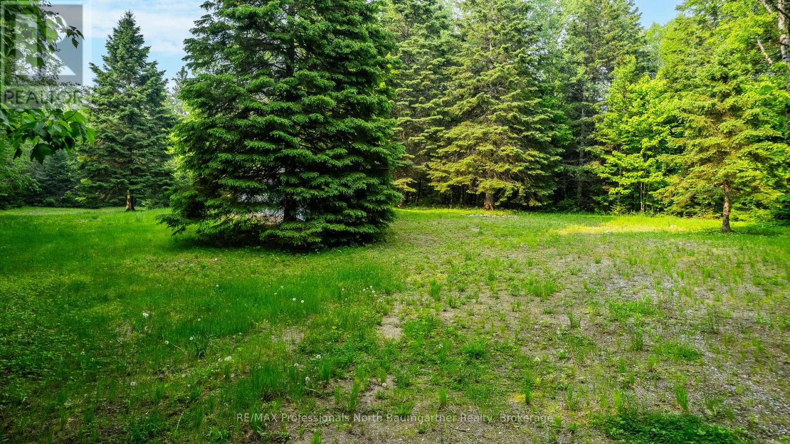 1056 Outram Road, Highlands East, Ontario  K0L 3C0 - Photo 4 - X12209117