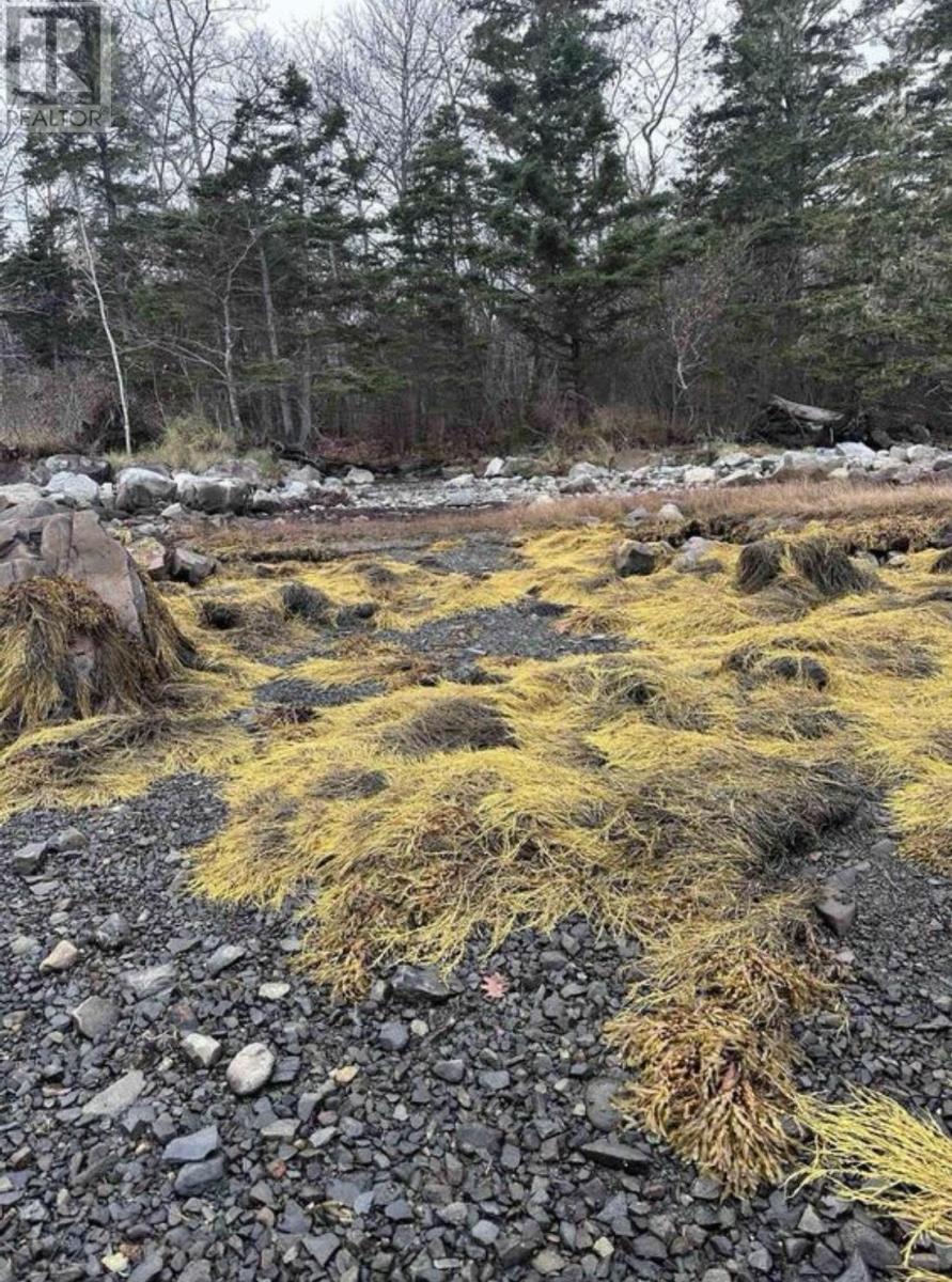 Vacant Lot West Green Harbour Road, Shelburne, Nova Scotia  B0T 1L0 - Photo 17 - 202512715