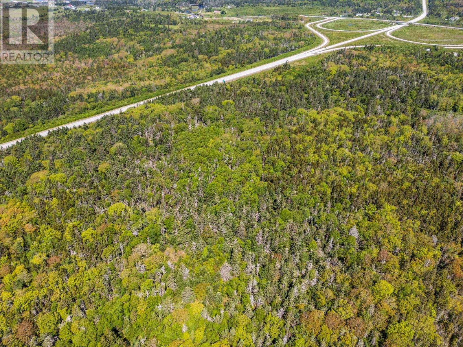 Lot 101 Highway, Woodvale, Nova Scotia  B5A 5B1 - Photo 7 - 202513375