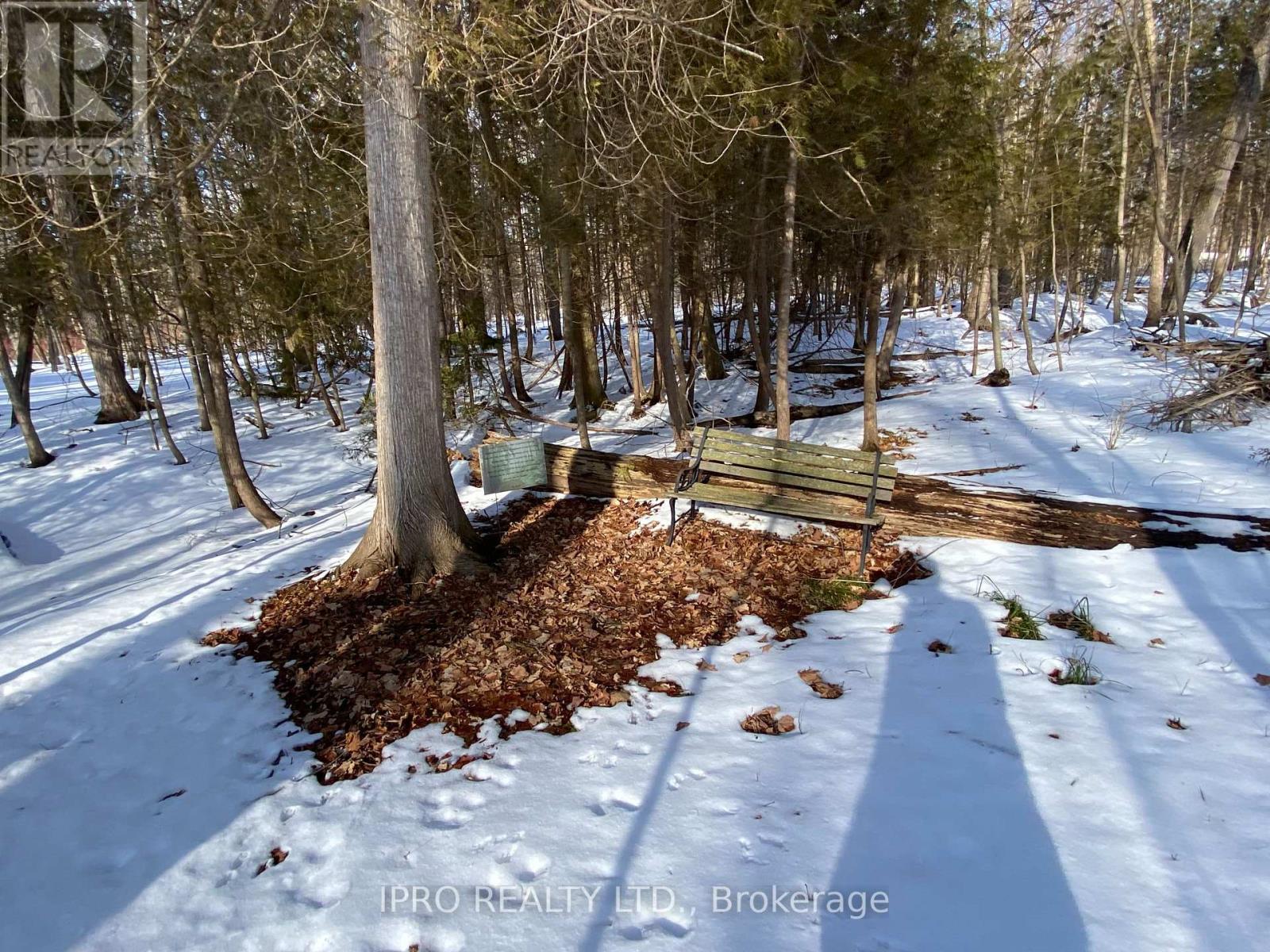 11 Knox Road E, Wasaga Beach, Ontario  L9Z 2T6 - Photo 19 - S12208938