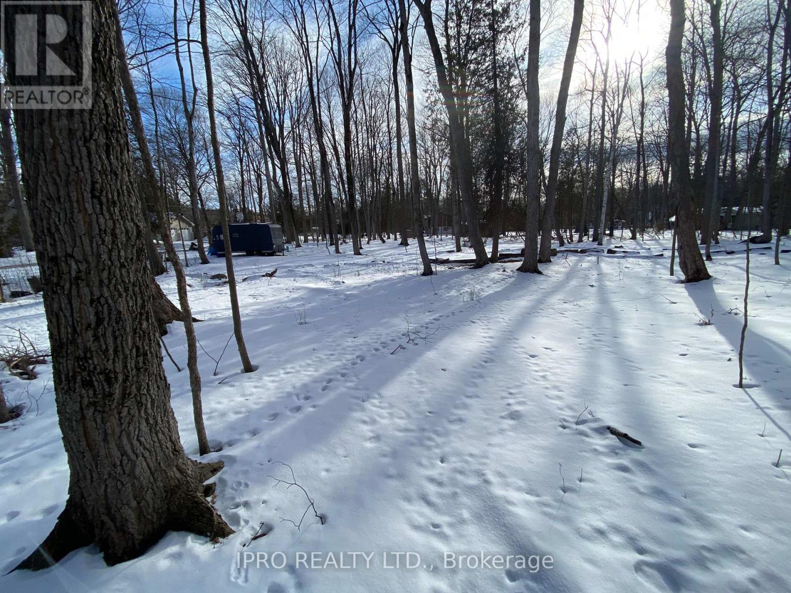 11 Knox Road E, Wasaga Beach, Ontario  L9Z 2T6 - Photo 23 - S12208938