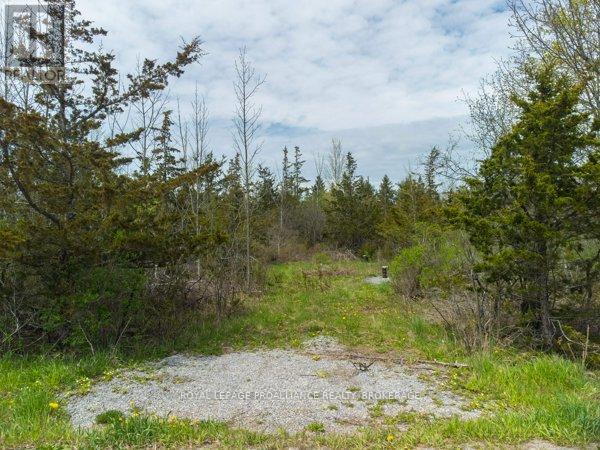1685 Sunnyside Road, Kingston (City North Of 401), Ontario  K7L 4V4 - Photo 3 - X12209322