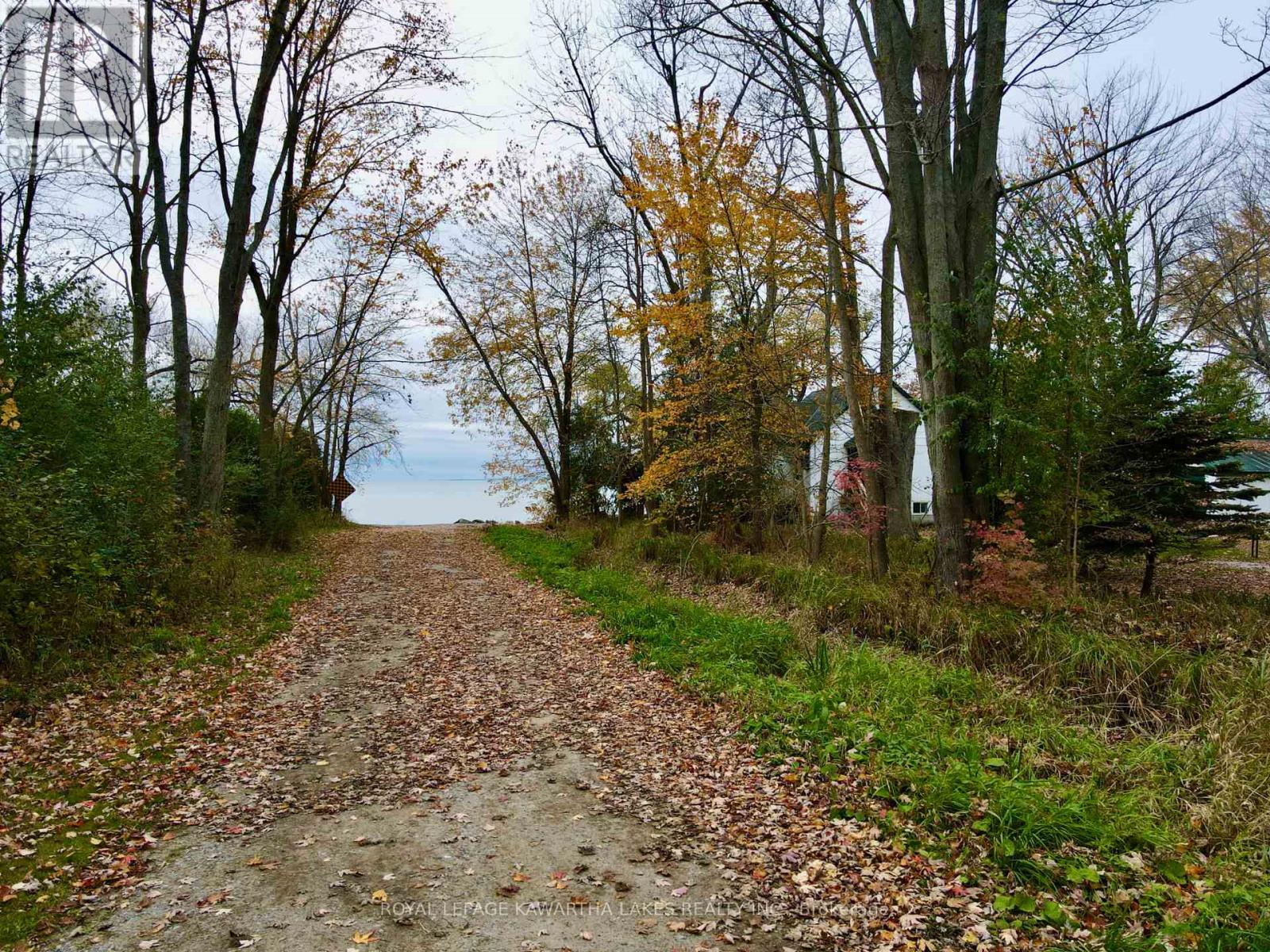 2501 Lakeshore Drive, Ramara, Ontario  L0K 1B0 - Photo 47 - S12209276