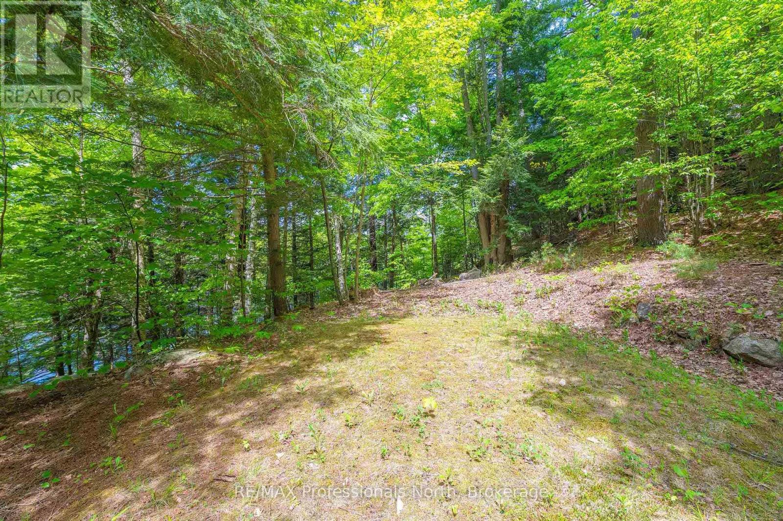 1023 Maiden Trail, Minden Hills, Ontario  K0M 2K0 - Photo 30 - X12204572