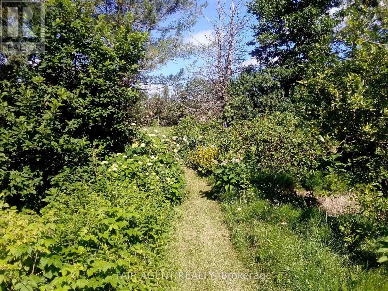354451 Hwy 624, Englehart (Central Timiskaming), Ontario  P0J 1H0 - Photo 12 - T12209455